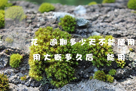 花唄逾期多少天不能使用(花唄逾期后不能使用,大概多久后還能用)