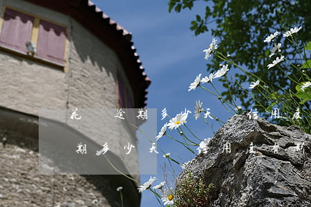花唄逾期多少天對信用度有影響嗎-花唄逾期多少天對信用度有影響嗎知乎
