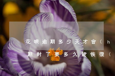 花唄逾期多少天才會(huì)被封(花唄逾期封了要多久能恢復(fù)?多長時(shí)間能自動(dòng)解封)