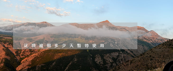 花唄逾期多少天暫停使用