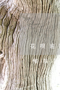花唄逾期多少天會(huì)催還款(花唄被催款幾天之內(nèi)要還)