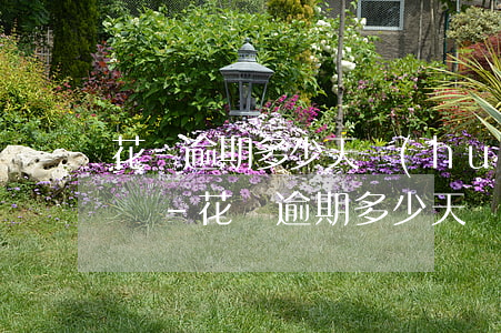 花唄逾期多少天會(huì)影響芝麻信用嗎-花唄逾期多少天會(huì)影響芝麻信用嗎