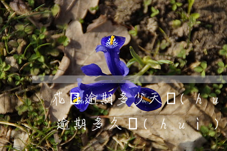 花唄逾期多少天會(huì)打通訊錄(花唄逾期多久會(huì)給通訊錄家人打電話)
