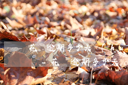 花唄逾期多少天會(huì)打電話給家人嗎-花唄逾期多少天會(huì)打電話給家人嗎是真的嗎
