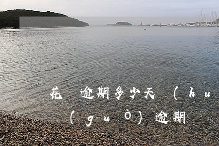 花唄逾期多少天會(huì)有影響(花唄有過(guò)逾期記錄還要多久才能用花唄)