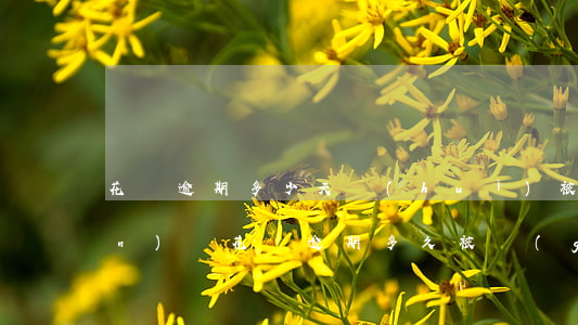 花唄逾期多少天會(huì)被關(guān)閉(花唄逾期多久被關(guān)停支付寶)