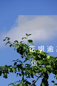 花唄逾期多少天會失信(花唄逾期多少天會失信)