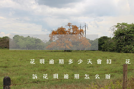 花唄逾期多少天會扣稅(花唄逾期多久會被起訴?花唄逾期怎么辦)