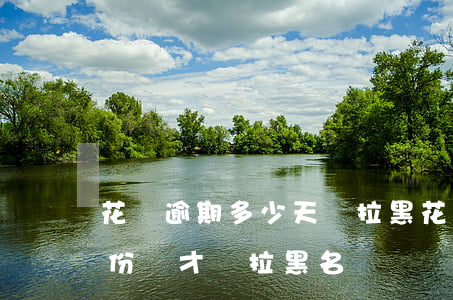 花唄逾期多少天會拉黑(花唄借唄逾期多久身份證才會拉黑名單)