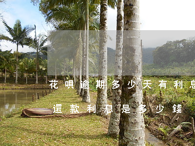 花唄逾期多少天有利息(花唄如果逾期10天還款,利息是多少錢)