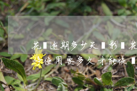花唄逾期多少天沒影響(花唄逾期了五天被暫停使用要多久才能恢復(fù))