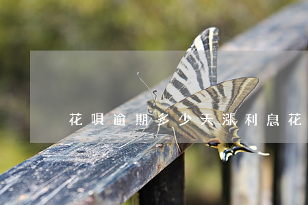 花唄逾期多少天漲利息(花唄過期利息多少)