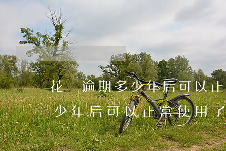 花唄逾期多少年后可以正常使用(花唄逾期多少年后可以正常使用了)