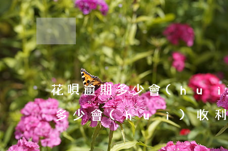 花唄逾期多少會(huì)收利息(花唄逾期多少會(huì)收利息)
