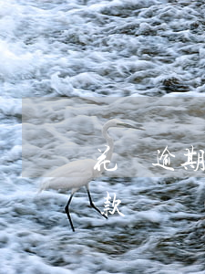 花唄逾期多少會(huì)爆通許錄(花唄欠款兩萬(wàn)逾期三個(gè)月會(huì)爆通訊錄嗎)