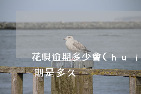 花唄逾期多少會(huì)被禁用(花唄禁用期是多久)