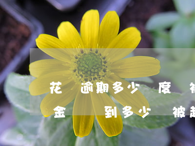 花唄逾期多少額度會被起訴(支付寶花唄逾期金額達到多少會被起訴)