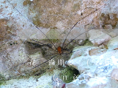 花唄逾期多長(zhǎng)時(shí)間內(nèi)還款(花唄逾期好久還了 大概要多久能用)