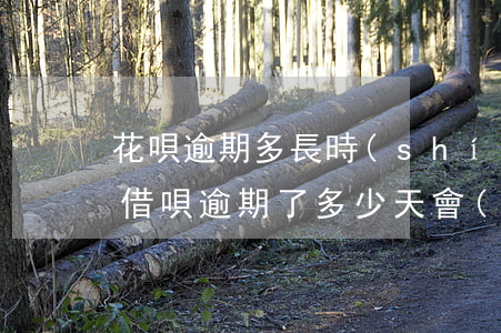 花唄逾期多長時(shí)間有人催(花唄和借唄逾期了多少天會(huì)有催債電話)