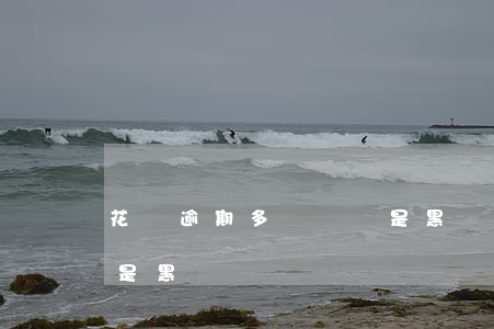 花唄逾期多長時間是黑戶(花唄逾期多長時間是黑戶)