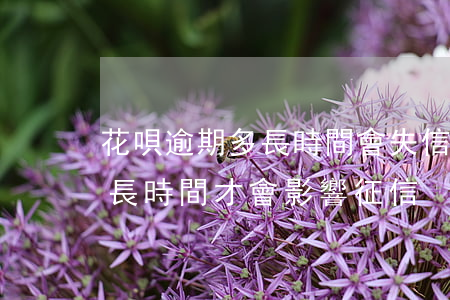 花唄逾期多長時間會失信(支付寶花唄逾期多長時間才會影響征信)