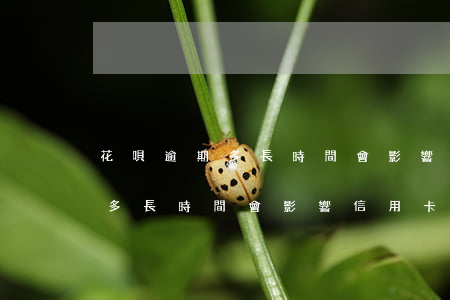 花唄逾期多長時間會影響信用卡-花唄逾期多長時間會影響信用卡征信嗎