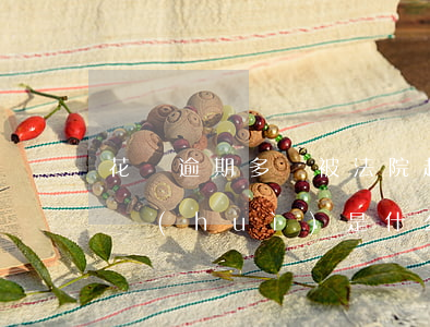 花唄逾期多長被法院起訴(花唄逾期法院起訴會(huì)是什么結(jié)果呢?)