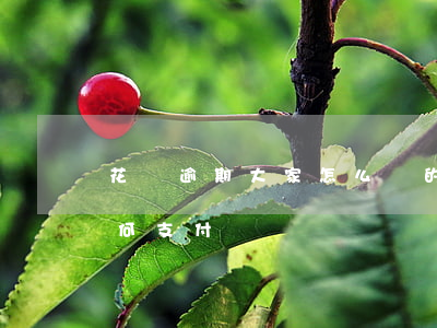 花唄逾期大家怎么還的(花唄逾期了淘寶還如何支付)