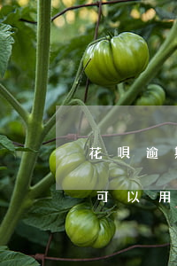 花唄逾期太久了怎么辦(花唄逾期還完了,多久可以用花唄了)