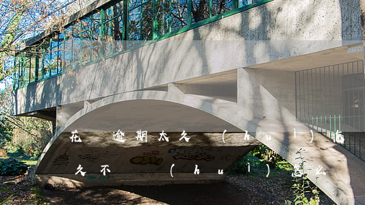 花唄逾期太久會(huì)怎樣知乎(花唄太久不還會(huì)怎么樣)