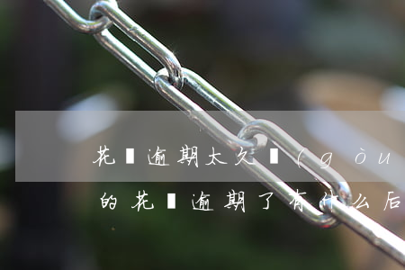 花唄逾期太久構(gòu)成詐騙案(支付寶的花唄逾期了有什么后果)