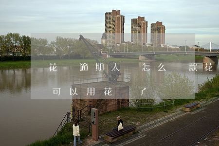 花唄逾期太長怎么還款(花唄逾期還完了,多久可以用花唄了)