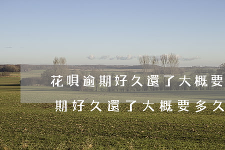花唄逾期好久還了大概要多久能用-花唄逾期好久還了大概要多久能用呢