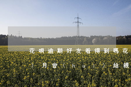 花唄逾期好友看得到嗎(花唄逾期半個(gè)月 會(huì)給親朋好友打電話嗎)