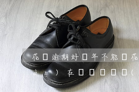 花唄逾期好幾年不能還(花唄逾期了現(xiàn)在沒錢還幾個(gè)月以后還可以嗎)