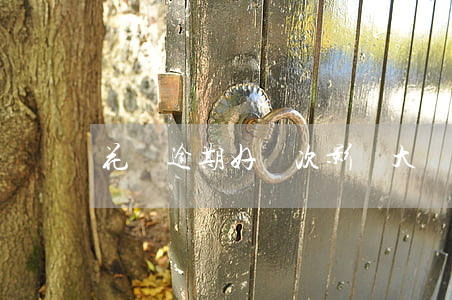 花唄逾期好幾次影響大嗎(花唄可以逾多少期)