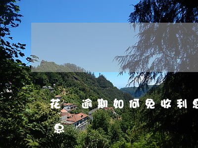 花唄逾期如何免收利息(花唄不逾期 貸款有利息)