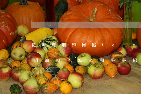 花唄逾期如何協(xié)商還款(支付寶花唄逾期了怎么和平臺協(xié)商還款)