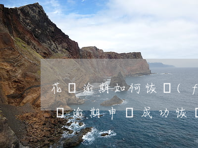 花唄逾期如何恢復(fù)額度(花唄負面記錄逾期申訴成功恢復(fù)花唄額度)