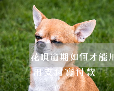 花唄逾期如何才能用支付寶 花唄逾期了怎么用支付寶付款