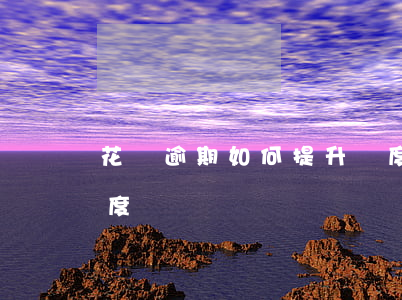 花唄逾期如何提升額度(花唄怎么暫時提高額度)