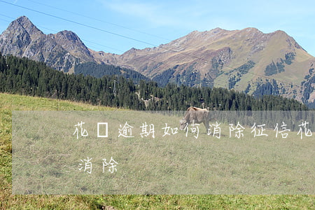 花唄逾期如何消除征信(花唄個人征信多久能消除)