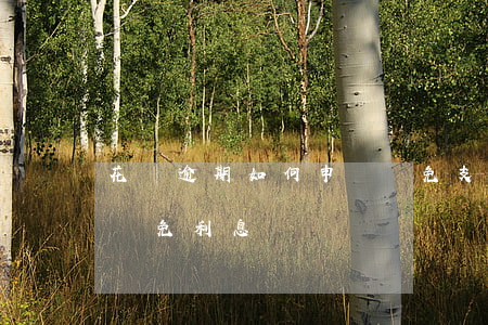 花唄逾期如何申請減免(支付寶花唄逾期怎么減免利息)