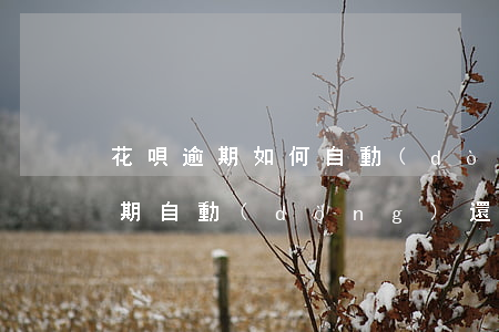 花唄逾期如何自動(dòng)還款(花唄逾期自動(dòng)還款,會(huì)不會(huì)扣沒有綁定支付寶的卡呢)
