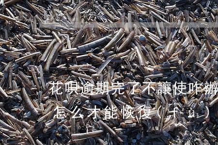 花唄逾期完了不讓使咋辦(花唄逾期不能使用 怎么才能恢復(fù)使用)