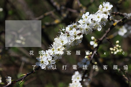 花唄逾期客服協(xié)商不了(花唄逾期了,可以打電話和客服協(xié)商嗎)