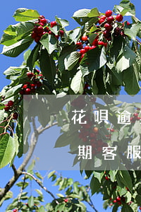 花唄逾期客服打電話了最遲多久還-花唄逾期客服打電話了最遲多久還款