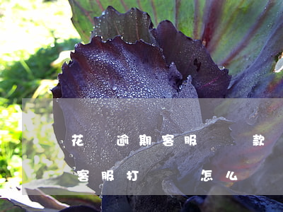 花唄逾期客服會還款嗎(花唄逾期久了支付寶客服打電話怎么辦)