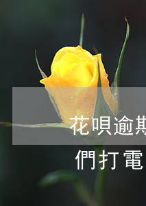 花唄逾期客服說要上門(支付寶花唄有逾期他們打電話說上門)