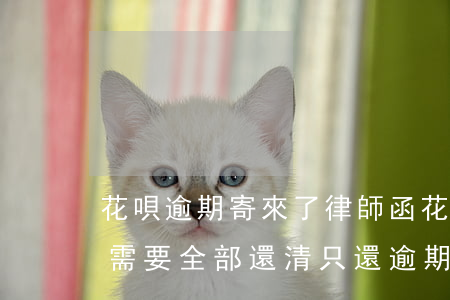 花唄逾期寄來了律師函(花唄逾期收到律師函需要全部還清,只還逾期部分能行不)